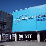 Acquario 11