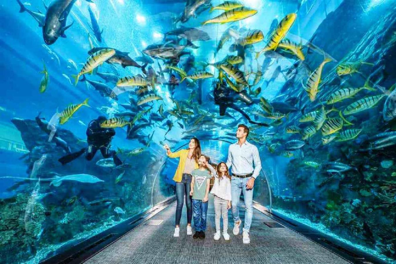 Acquario 11 Appartement *